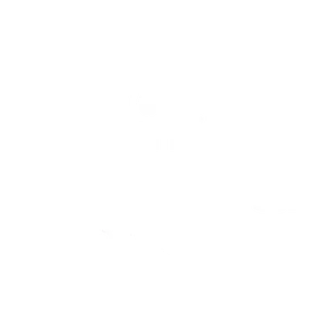 Continental Media